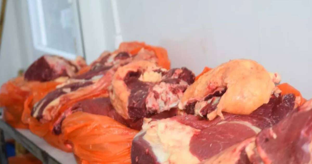 Соғымды қай уақытта сою керек