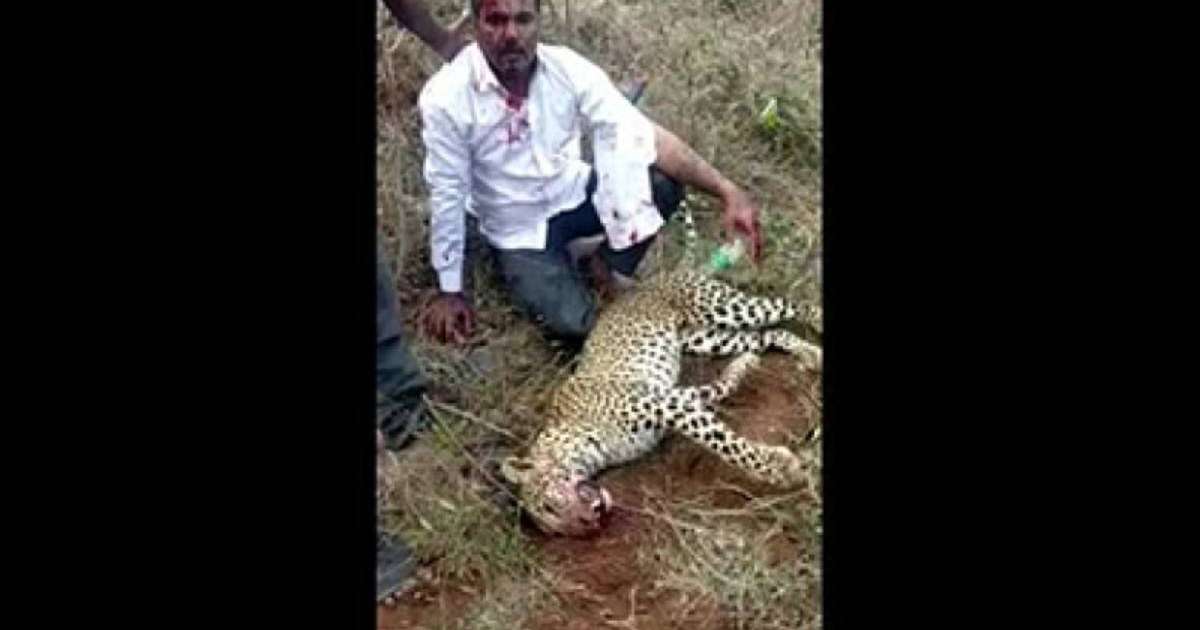 Әйелі мен қызын құтқарған: Ер адам шабуыл жасаған жыртқышты жалаң қолымен өлтірді