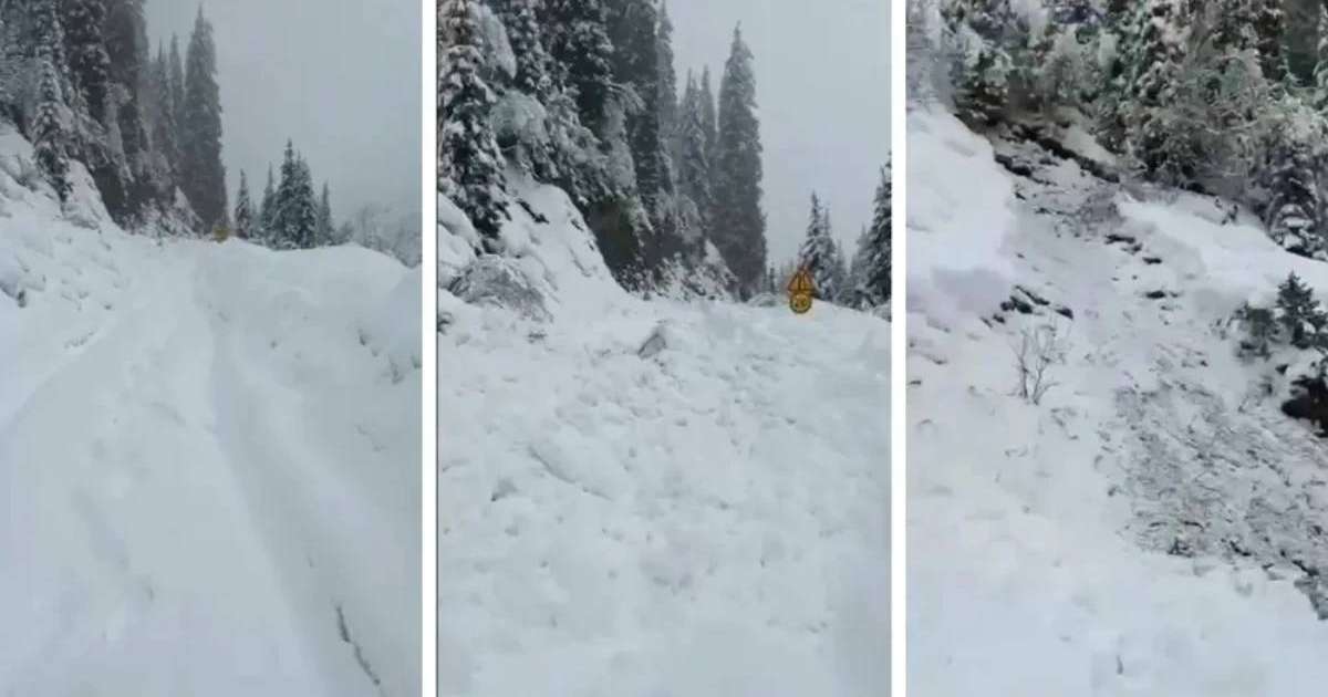 Алматы облысында тас жолға қар көшкіні құлады (видео)