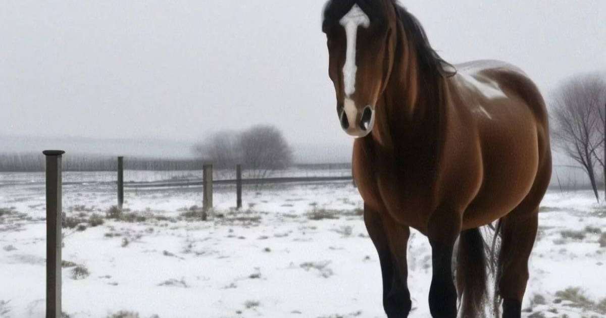 Ұлытауда мыңға жуық жылқы қырылып қалды