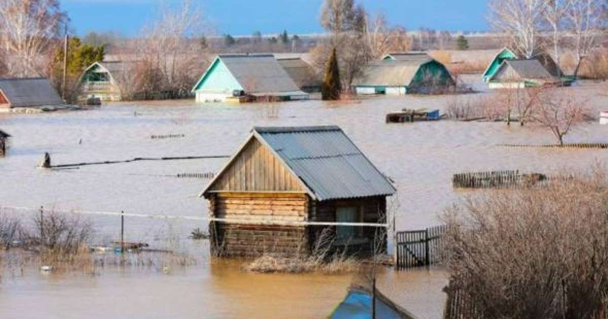 Ақмола облысында 19 үйді су басты: ауыл әкімі сотталды