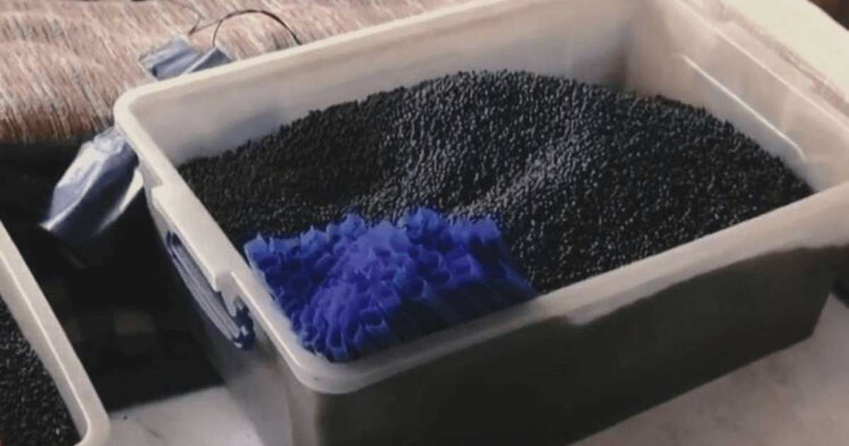 Насыбайды заңсыз сатқандар қалай жазаланады - ІІМ жауап берді