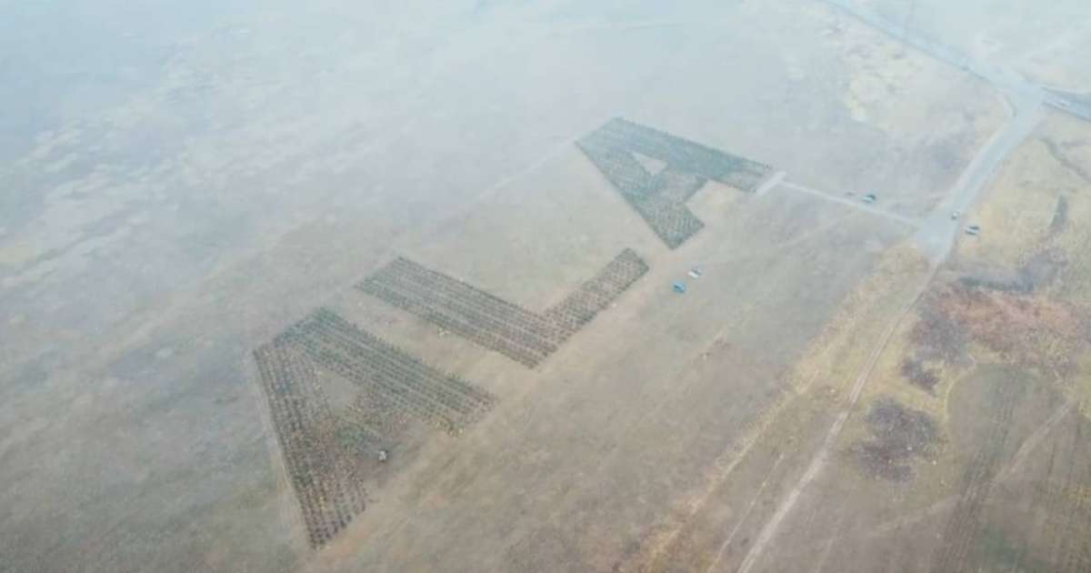 Алматыда ғарыштан көрінетін "ALA" бағы отырғызылмақ