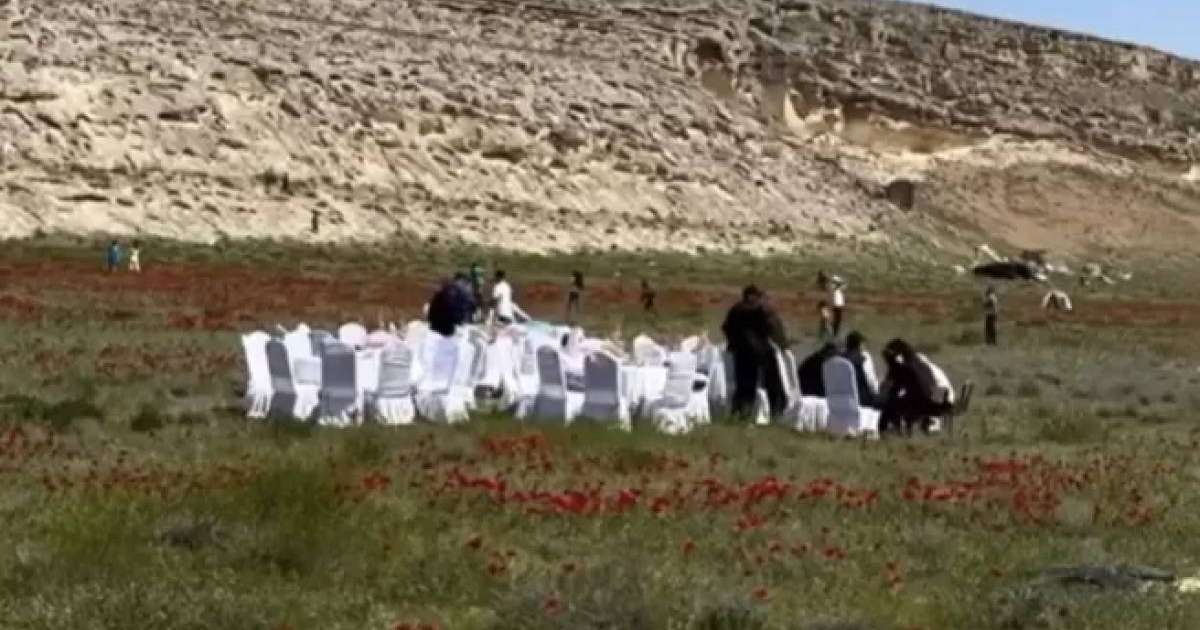 Маңғыстауда қалың қызғалдақтың ортасына дастархан жайғандар жұрттың ашуын туғызды