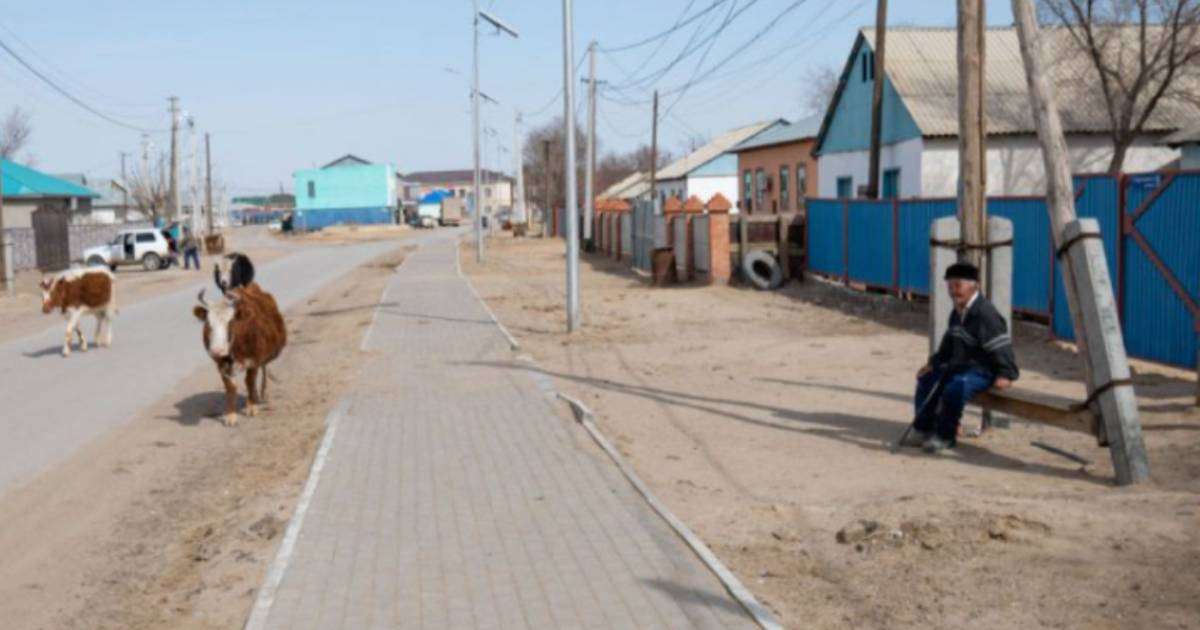 Проект «Демеу» стартовал в Алматинской области