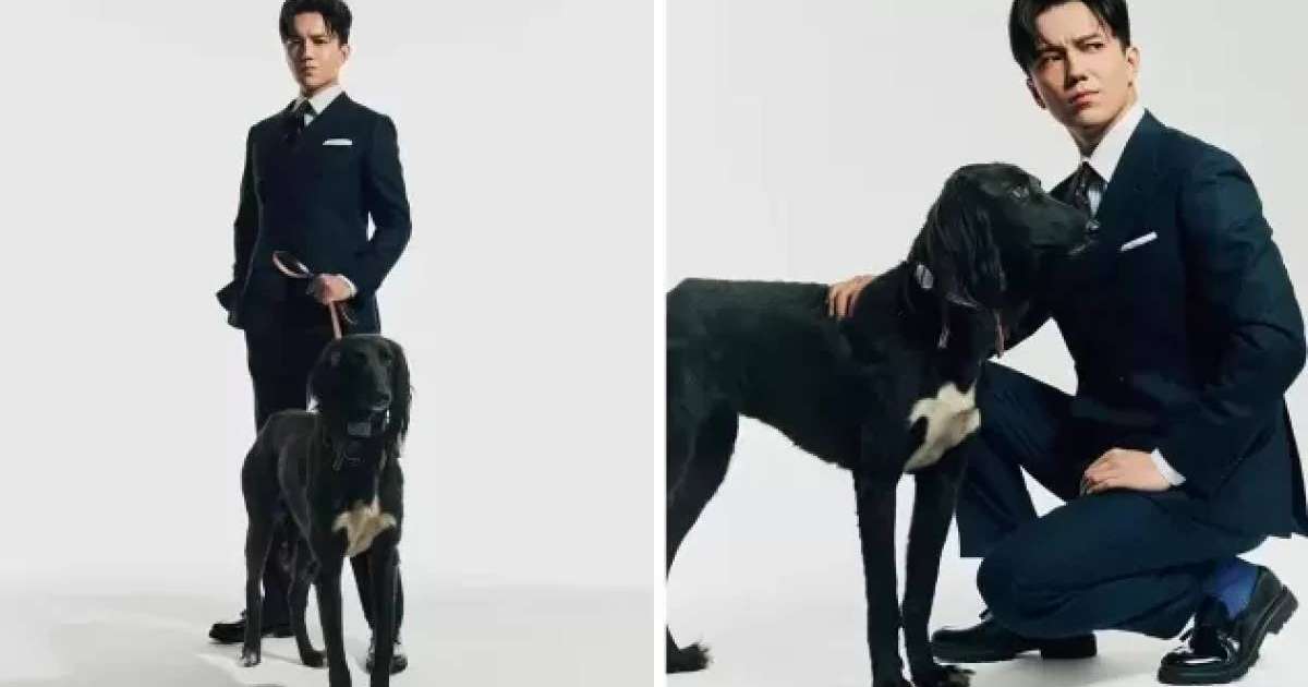 Димаш Құдайбергеннің қазақы тазымен түскен фотосы қыздарды есінен тандырды