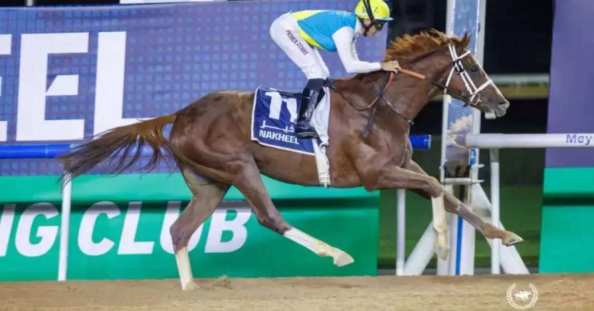 Кабирхан Дубайда өткен додаға қатысқан жоқ