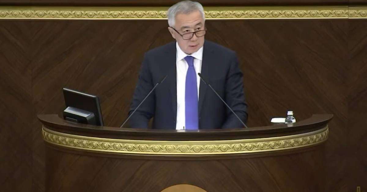 Жұманғарин: «үйдің жанындағы дүкендер», шаштараздар және жалықпен жұмыс істейтін кәсіпкерлер ҚҚС төлемейді