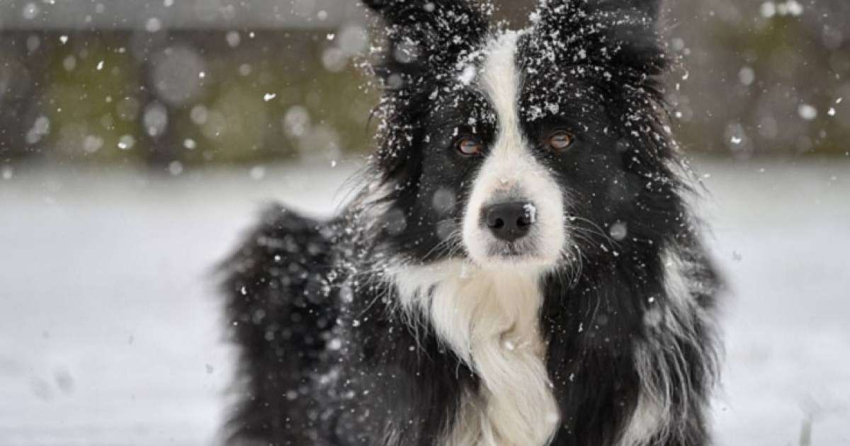 Ер адам итіне мұрагерлікке 5 млн доллар қалдырды
