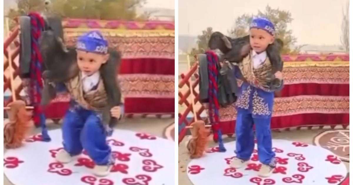 “Болашақ палуан”: Маңғыстау облысында қозыны 30 рет көтеріп тұрған 4 жасар бүлдіршін жұртты тәнті етті (видео)