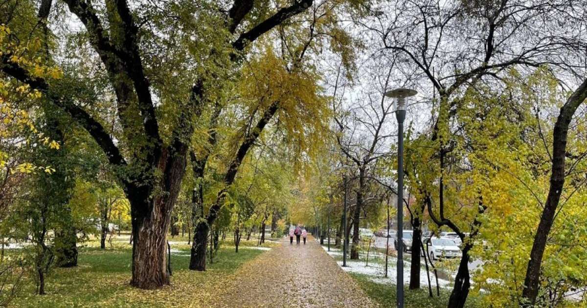 Алматы қаласының 1-7 қараша аралығына арналған ауа райы болжамы