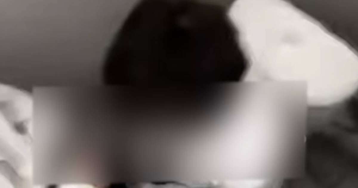 Әжетханада бір-бірін зорлап ойнаған: Мектеп оқушыларының сұмдық видеосы тарады (ВИДЕО)