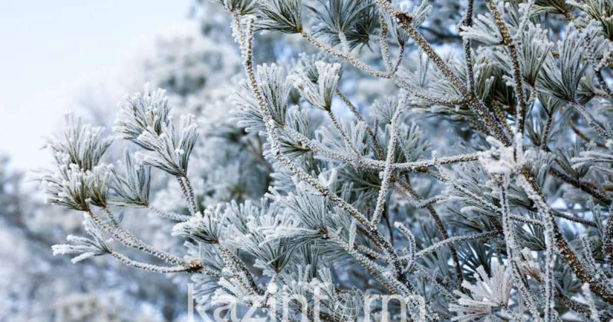 Жаңа 2021 жылға арналған құттықтау