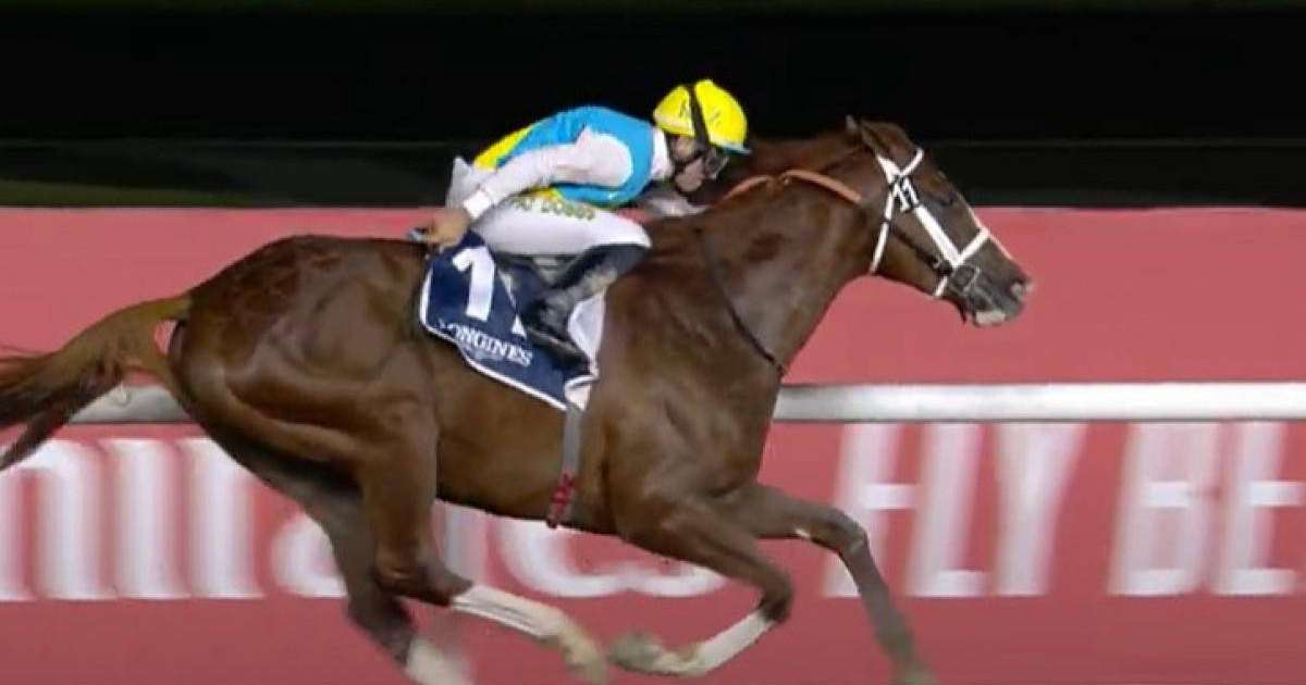 Дубайдағы бәйге - Кабирхан тағы топ жарды