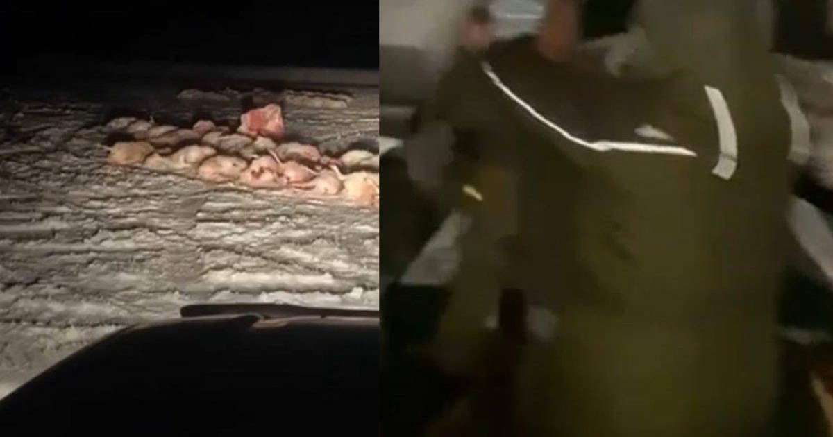 Ұлытауда ауыл жігіттерінің Охотзоопром қызметкерлерімен төбелесі үлкен дауға ұласты