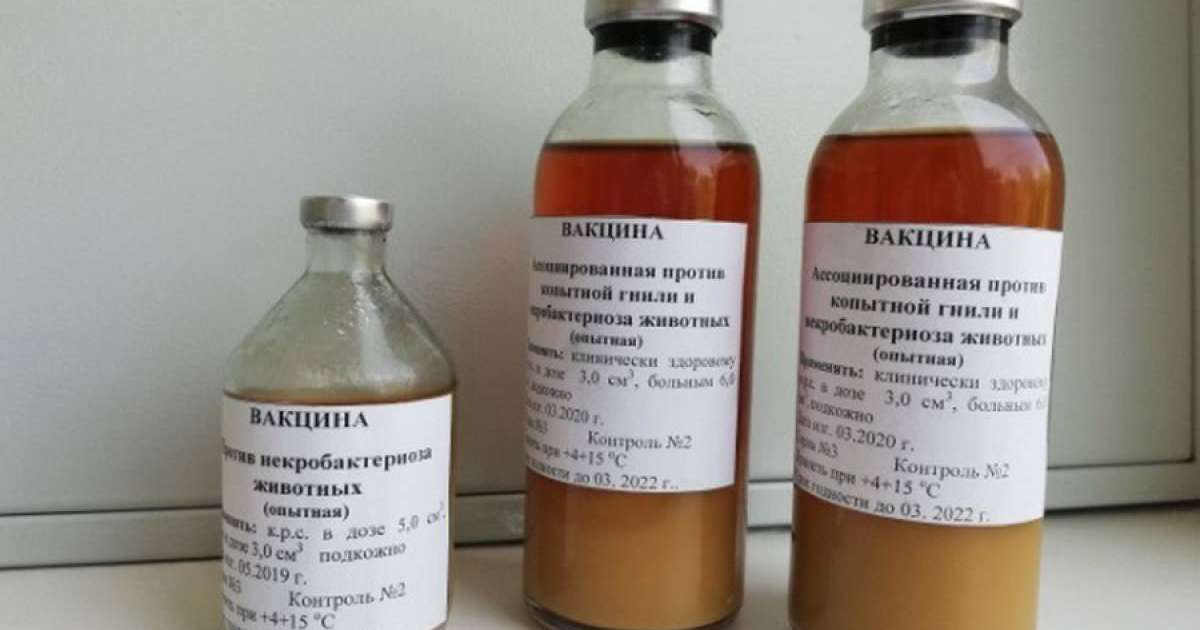 Вакцина формуласын ұрламақ болғандар әшкереленді