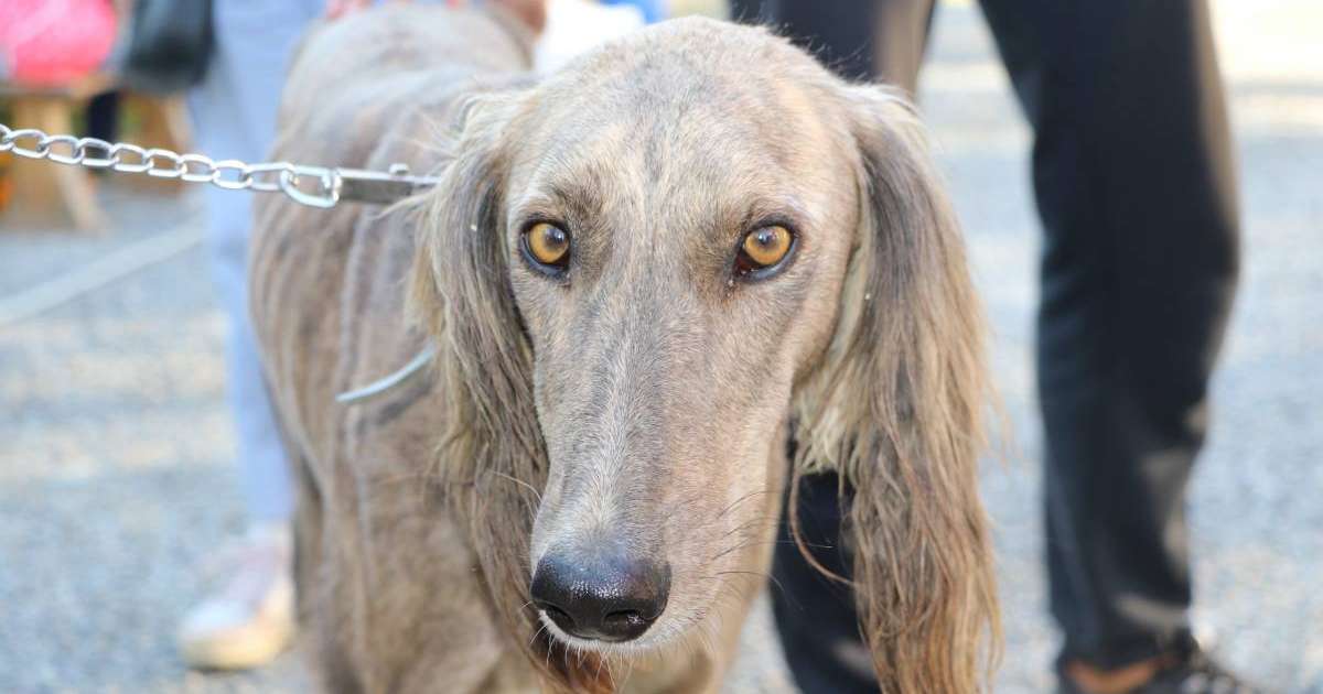 "Қан мен қақтығыс көп болады": Танымал көріпкел 2021 жылға болжам жасады