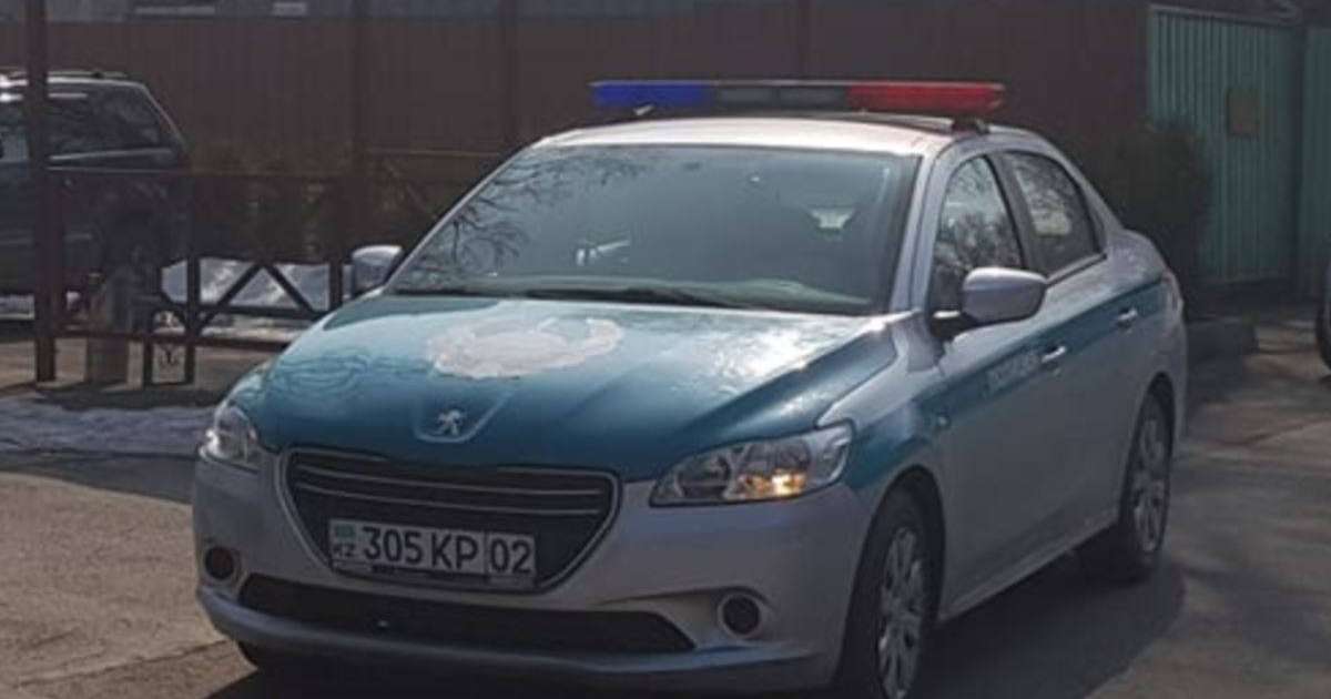 Алматыда Oyan Qazaqstan белсенділері ұсталды, Мамай полицияның шабуыл жасағанын хабарлады