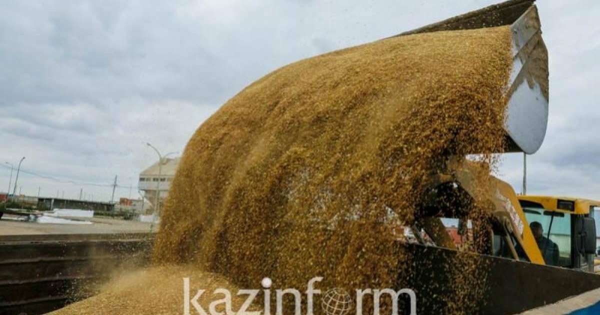 哈萨克斯坦小麦过境连云港开辟至东南亚第二通道