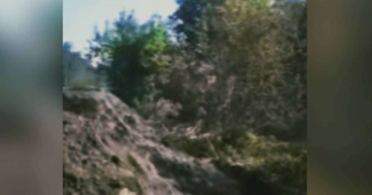 Аммиак төгілді: Солтүстік Қазақстан облысында орман өртеніп, мал қырылды