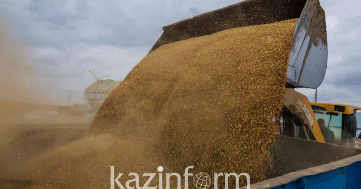 前三季度小麦出口量同比下降11％