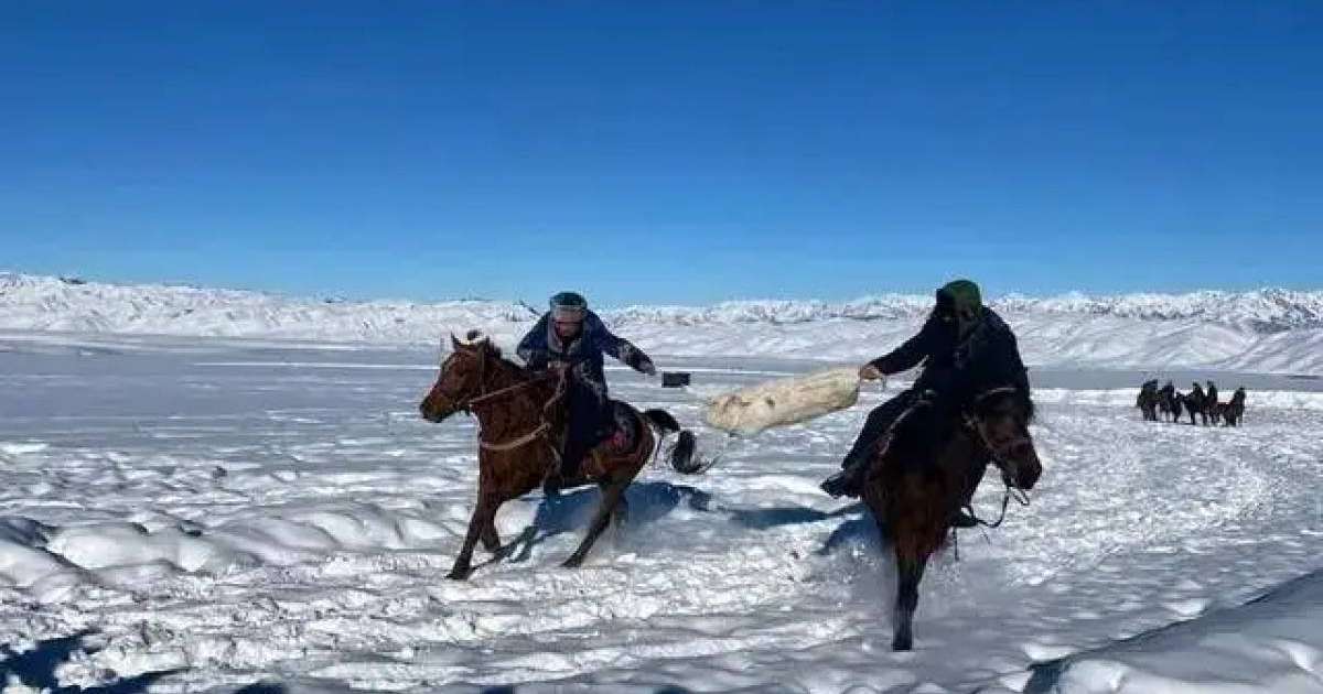 Жиырма жастағы қазақ жігіті кәсіп ашуда көш бастады - шетелдегі қазақ баспасөзі