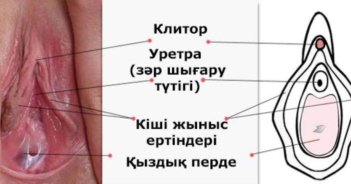 Тай транс порно фильмдерін қараңыз