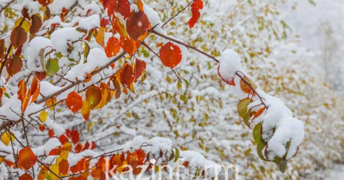 国家气象总局发布15日天气预报