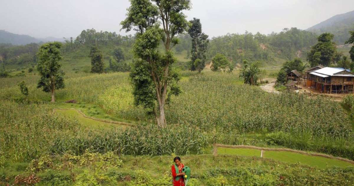 绿色气候基金批准1.61亿美元支持智利、吉尔吉斯斯坦和尼泊尔应对气候变化