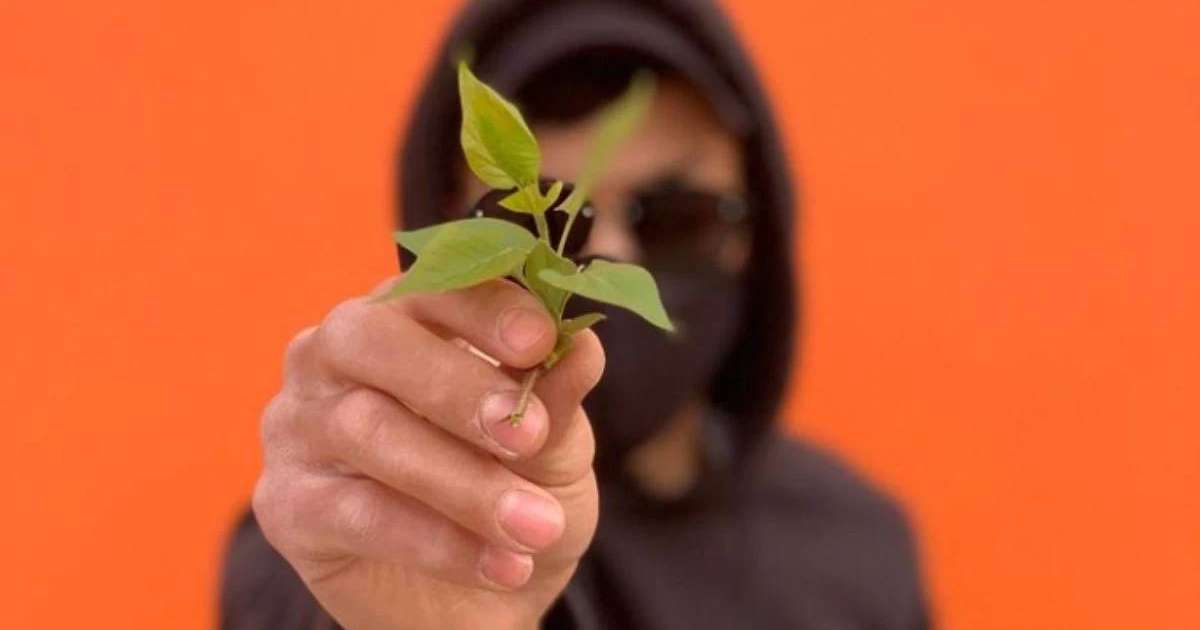 Бетперде таққан адам "Жыл адамы 2023" мәртебесіне ие болды