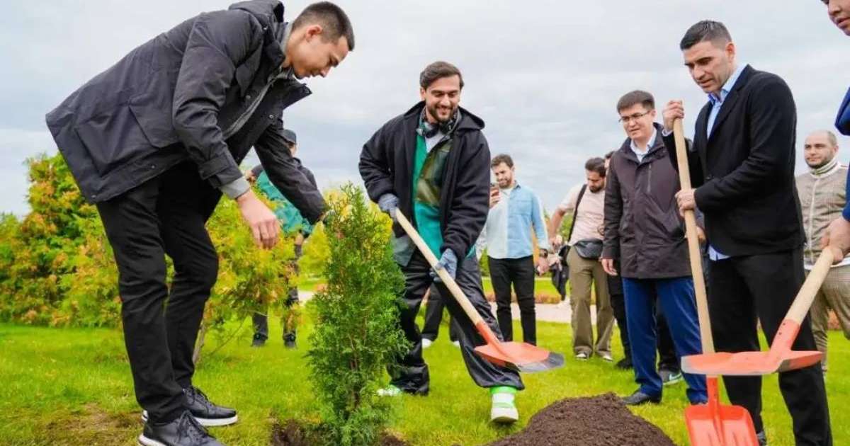 «Таза Қазақстан»: Бір жылда 1,6 млн түп ағаш егілді