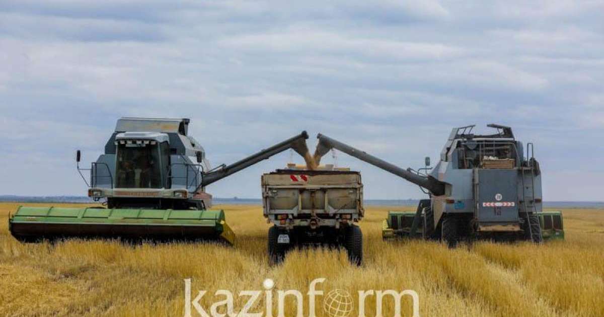 托卡耶夫总统：哈俄农业部应加强推进合作项目