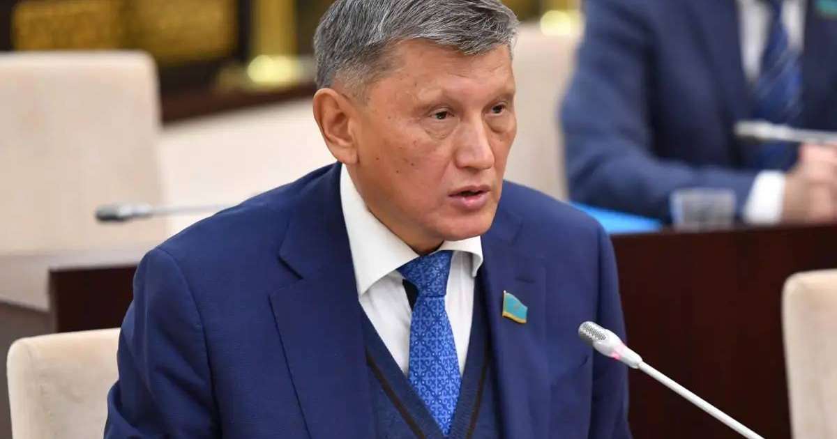 Сенатор азаматтық авиациядағы мәселелерді атады