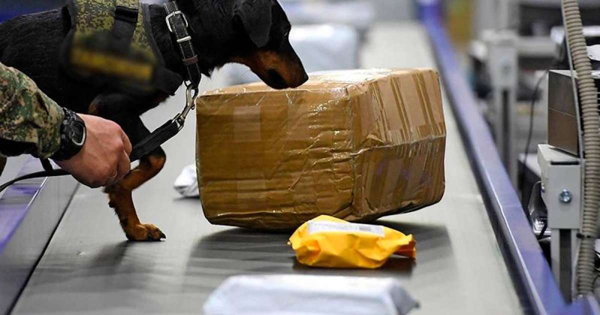 参议院批准通过独联体海关事务合作和互助协议修正案