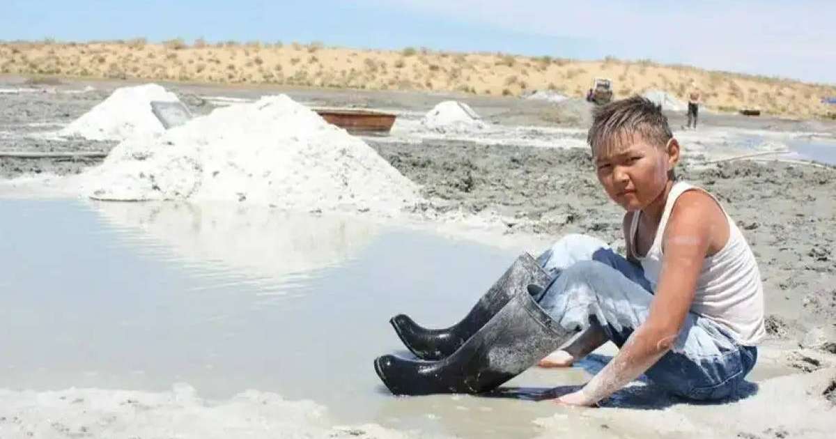 Үш бірдей қазақ фильмі «Азия Оскарын» жеңіп алды