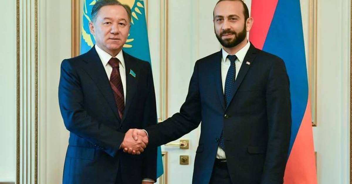 尼格马图林会见亚美尼亚国民议会议长米尔佐扬