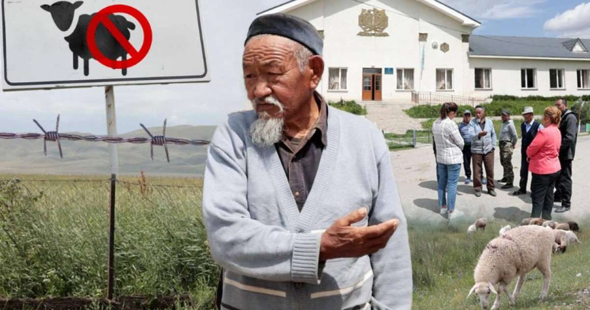 «Жайлауға әрең жеткен малдың көбі көтерем, қырылуға дайын тұр»: әйгілі Шәлкөде жайлауы жекеге өтіп кетті