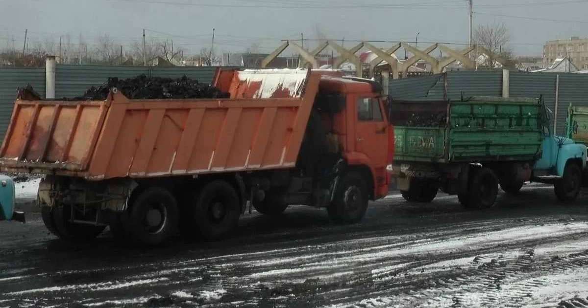 Бірнеше сағаттап кезекте тұрады: СҚО-да көмір үшін дүрбелең пайда болды