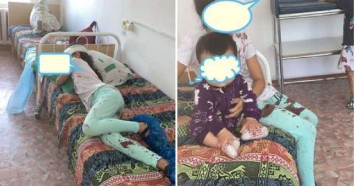 Алакөлде ер адам демалушыларға шабуылдаған: 8 жастағы қыз зардап шекті