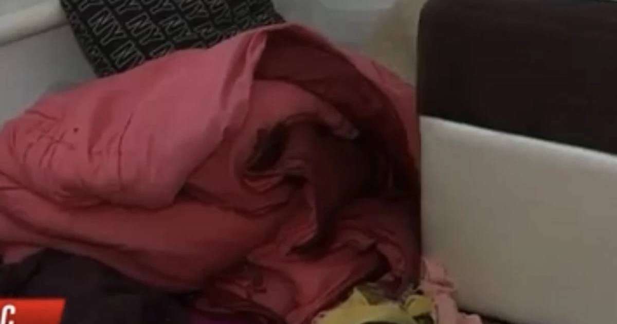 “Әжесі өзі әкеліп, жаса деп айтқан”: Алматы облысындағы екі бүлдіршінді зорлауға қатысты жаңа деректер шықты