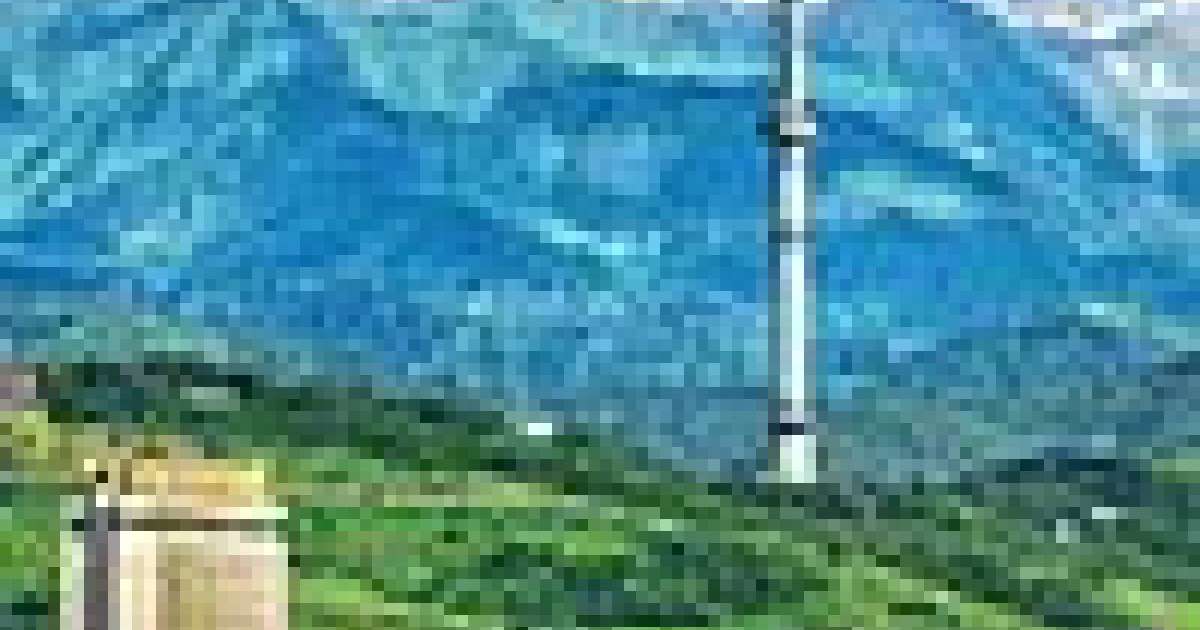 Ауа райын жан-жануарға қарап болжауы