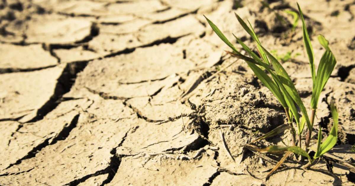 Шілде айында екі өңірде құрғақшылық болады