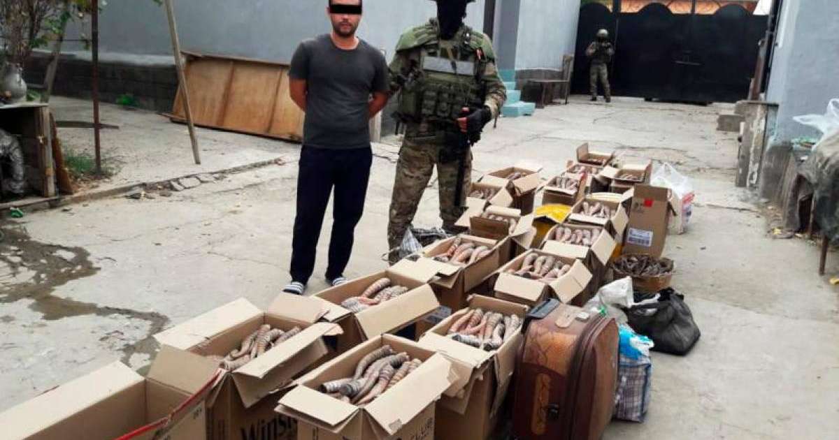 总统发推：偷猎者必须受到法律的严格制裁