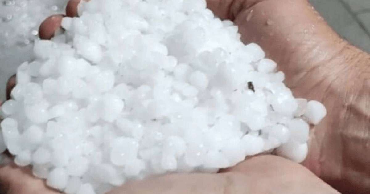 Шымкент тұрғындары қалада жауған ірі бұршақтың видеоларымен бөлісті