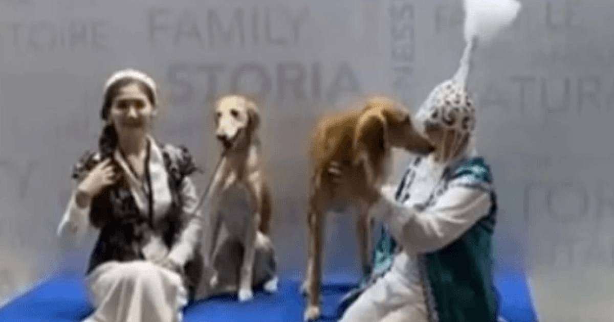 Қазақтың тазылары Женевадағы әлем чемпионатында жеңімпаз атанды