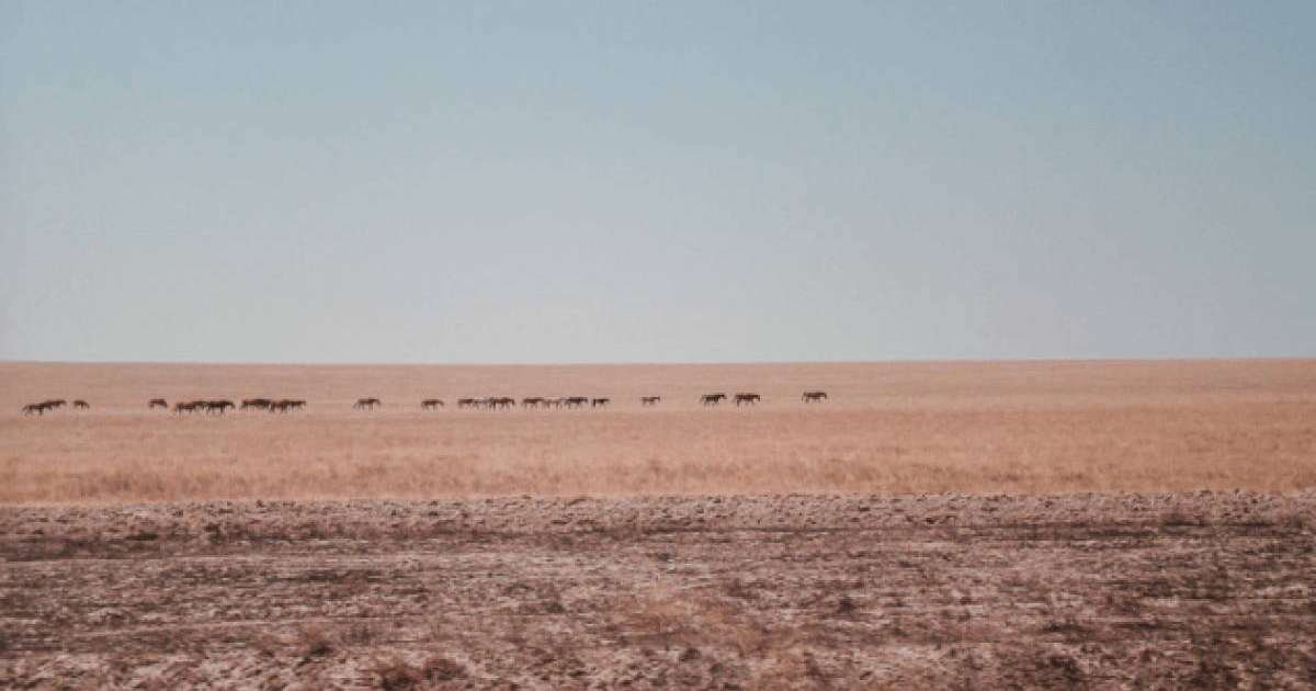 Жамбыл облысының 6 ауданында төтенше жағдай режимі жарияланды