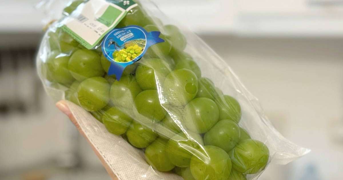 Шайын Мускат: блогерлердің жаңа тренді