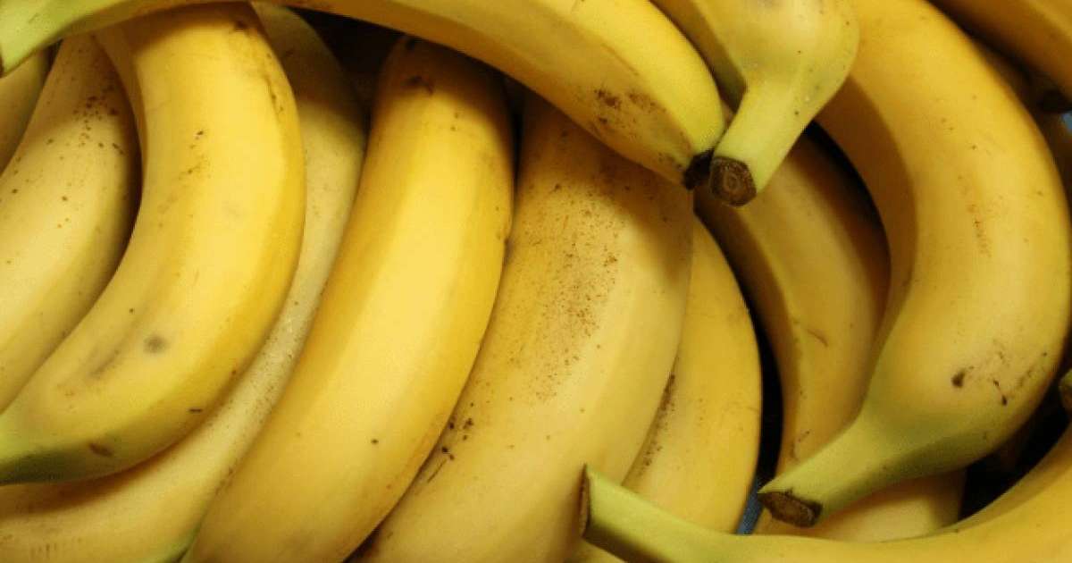 Қазақстанда алғаш рет өнеркәсіптік ауқымда банан өсіріле бастады