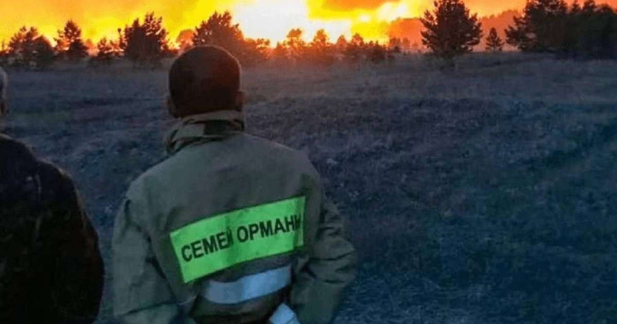 Жақында алапат өрт болған "Семей орманы" резерватының қызметкерлері жалақыларының өспегенін айтып президентке хат жолдады