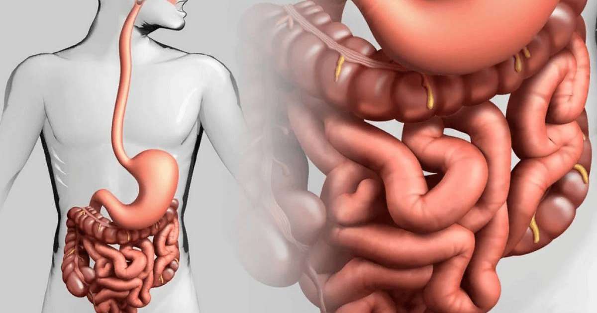 Ішек ауруларымен ауыратындар артып барады